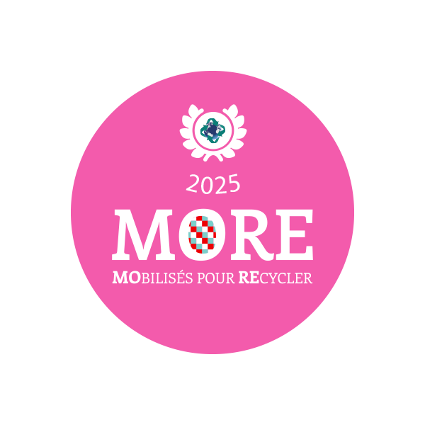 Logo MORE